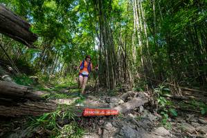 BIB: 
                            <button type="button" onclick="openModal(19393604)" class="btn btn-primary btn-sm float-right btn-popup" data-toggle="modal" data-target=".modal-high-quality">
                        <i class="fas fa-shopping-cart"></i> Add to Cart
                    </button>
                                            <button type="button" onclick="isThisMe(19393604, true)" class="btn btn-success btn-sm float-right btn-popup btn-isme hidden" data-toggle="tooltip" data-placement="bottom" title="นี่คือรูปของคุณใช่ไหม คลิกที่นี่เพื่อเอาเข้าอัลบั้ม">
                        <i class="fas fa-plus"></i> Add to album
                    </button>
                    <button type="button" onclick="isThisMe(19393604, false)" class="btn btn-warning btn-sm float-right btn-popup btn-isnotme hidden">
                        <i class="fas fa-ban"></i> Remove from album
                    </button>